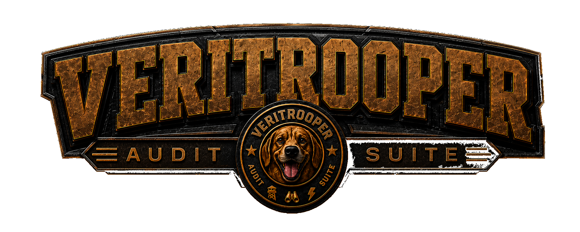 VERITROOPER — veritrooper.com